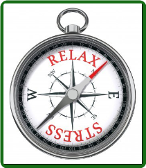 INTEGRATIVE & HOLISTIC STRATEGIES FOR STRESS MANAGEMENT INTEGRATIVE & HOLISTIC STRATEGIES FOR STRESS MANAGEMENT