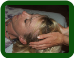 REIKI LEVEL I INTENSIVE -March 9th -Click for details